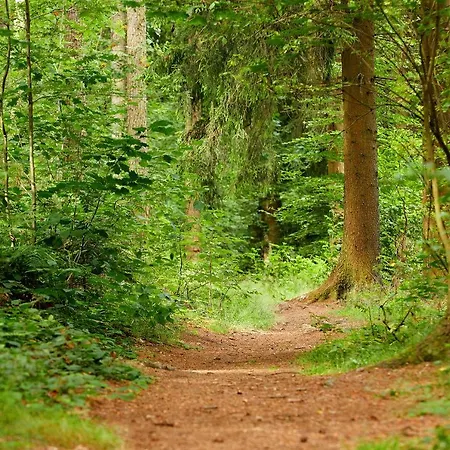 Tannmuehle Und Restaurant Gmbh