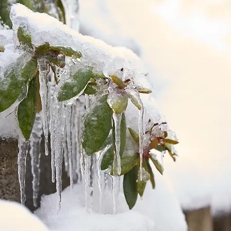 Tannmühle Und Restaurant Gmbh Callenberg