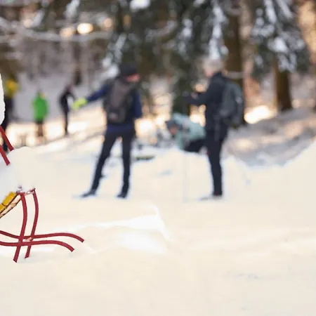 Hotel Tannmühle Und Restaurant Gmbh