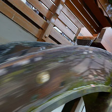 Tannmühle Und Restaurant Gmbh Hotel 3*