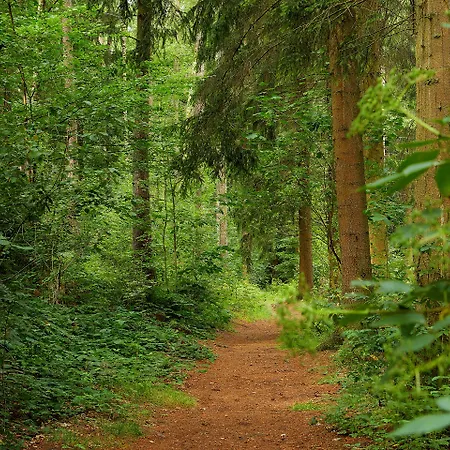 Tannmühle Und Restaurant Gmbh Hotel