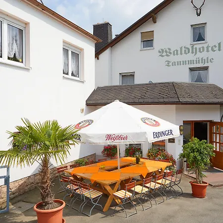 ホテル Tannmuehle Und Restaurant Gmbh Callenberg