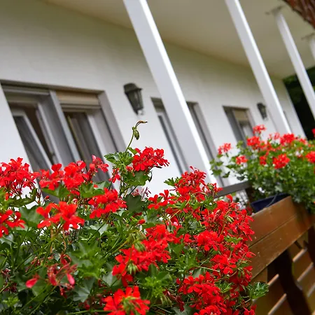 Tannmühle Und Restaurant Gmbh Hotel